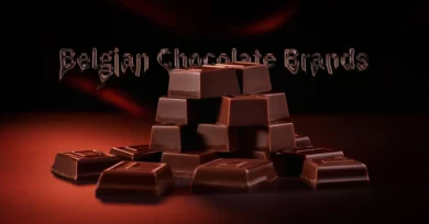 Belgian Chocolate Brands